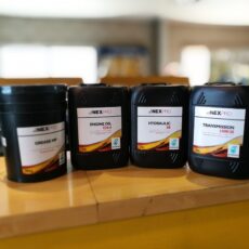 Service Programado T4 65V